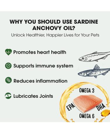 Iceland Pure SA17 Unscented Pharmaceutical Grade Sardine Anchovy oil from the pure waters of Iceland - 17oz - Buy Online on GoSupps.com