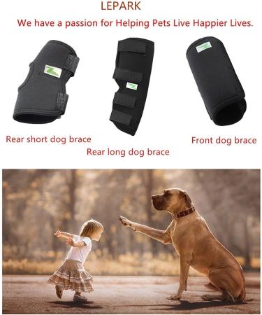 RockPet Dog Hind Leg Joint Brace Therapeutic Hip Bandage for Canines (M) - Buy Online on GoSupps.com