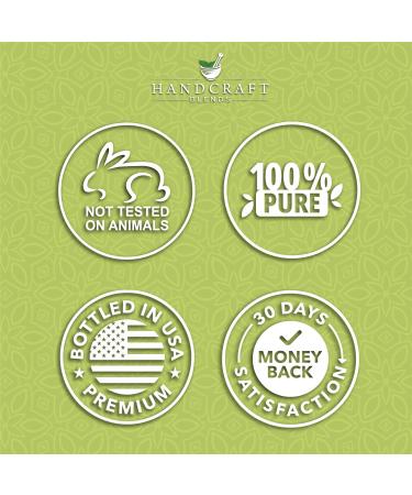 Handcraft Blends Toning Body Set: Sweet Almond Oil (16 Fl Oz) and Lemongrass Essential Oil (4 Fl Oz) 100% Pure & Natural for Invigorating Massage and Skin Firmness - Buy Online on GoSupps.com