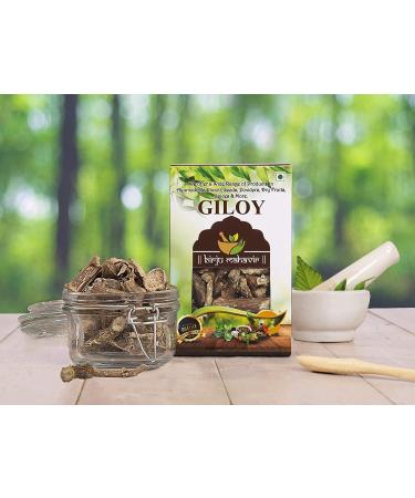 AOZA BIRJU MAHAVIR Bmkb Giloy/Guduchi Stem Cutting (Tinospora Cordifolia) Raw Form Natural 200 Gram (BMKB-132) - Buy Online on GoSupps.com
