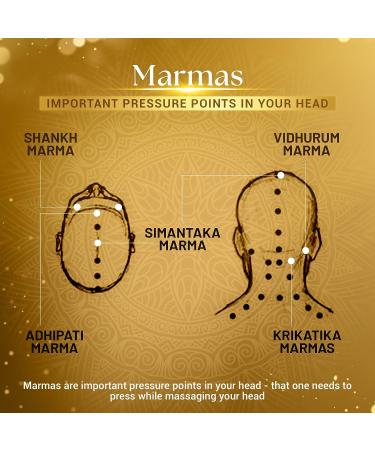 SESA Ayurvedic Regain 2 Step Hair Growth Kit - Clinically Proven, 100% Natural | Manage Hairfall & Facilitate Hair Growth | Ayurvedic Certified - Buy Online on GoSupps.com