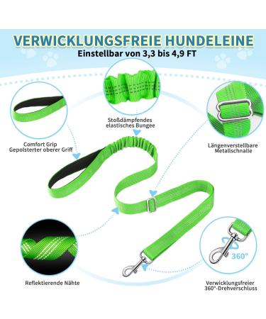 Eyein No-Pull Dog Harness with Leash - Soft Padded Reflective Adjustable for Puppies & Small to Large Dogs - Green (S) - Best for Pets & Cats - Buy Online on GoSupps.com