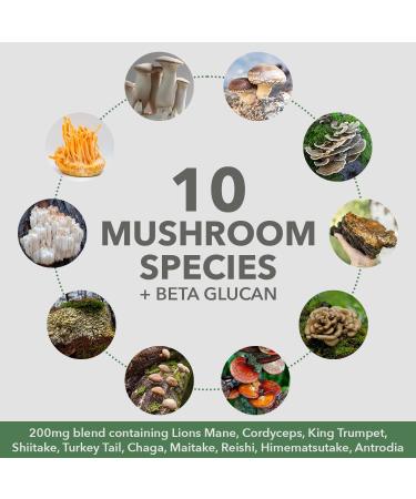 PlantFusion Mushroom Protein Powder - 3 in 1 Vegan Protein Powder Mushroom Supplement and Adaptogen Supplement - Support Mental Focus Immunity and Recovery - Vanilla 1lb Vanilla 16 Ounce (Pack of 1) - Buy Online on GoSupps.com