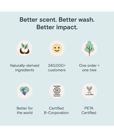 FREY Naturally Scented Dryer Sheets - 2 Pack, 80 Sheets - Sweet & Bold Sandalwood/Cedarwood Fragrance - Buy Online on GoSupps.com