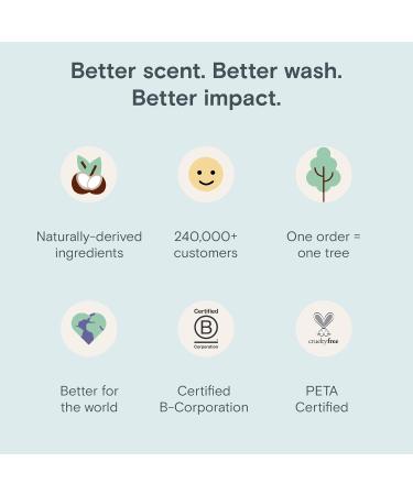 Frey Laundry Fragrance Booster - Bergamot Beach Scent Long-Lasting 4oz Bottle 110 Pumps - Eco-Friendly Laundry Scent Enhancer - Buy Online on GoSupps.com