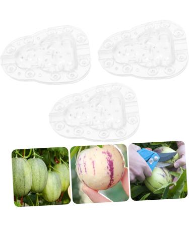 VANZACK Gardening Tools 3pcs Vegetable Fruit Ginseng Cucumber Adorable Forming Melon Gourd Garden Tools Transparent 9x8cm - Buy Online on GoSupps.com