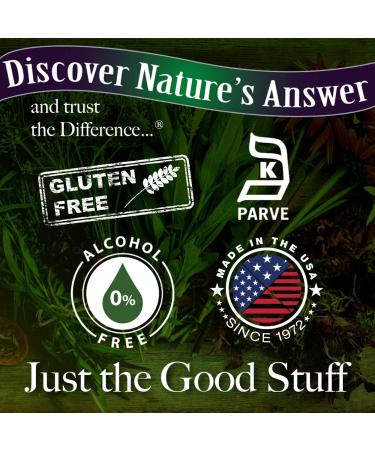 Nature's Answer Alcohol-Free Reishi Extract - Immune System Support, 1 oz - Buy Online on GoSupps.com