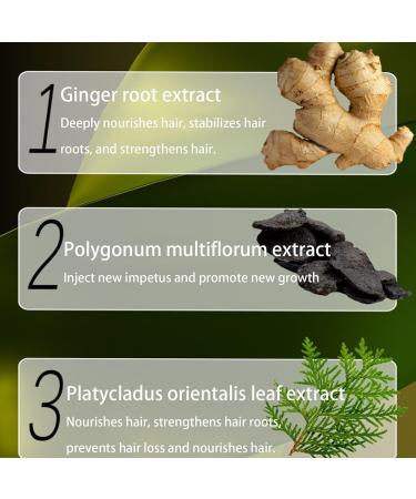 Ginger Plant Extract Anti-Hair Loss Hair Shampoo Ginger Hair Regrowth Shampoo Anti Hair Loss Ginger Shampoo (Color : 1Box) - Buy Online on GoSupps.com