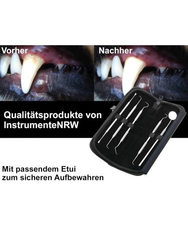 Premium Dog Tartar Remover Set | Stainless Steel Tooth Cleaner for Pets | Scaler & Toothbrush Replacement - Buy Online on GoSupps.com