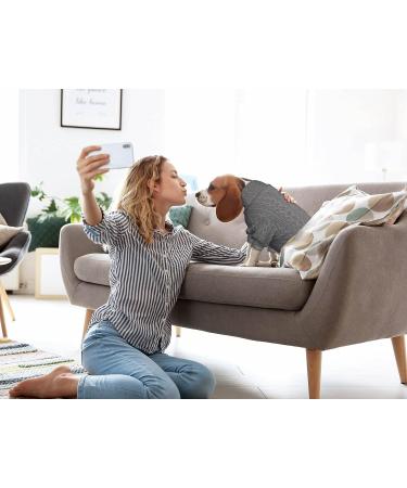 Knitted Turtleneck Dog Sweater - Warm Puppy/Cat Clothes for Small Dogs (X-Small, Grey) - Buy Online on GoSupps.com