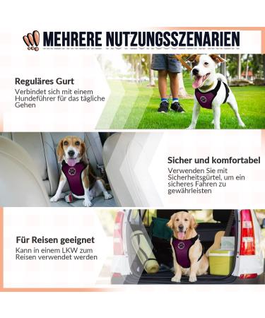 Slowton No-Pull Dog Harness | Soft Padded & Breathable for Small & Medium Dogs - Burgundy - Buy Online on GoSupps.com