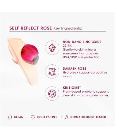 Kinship We Glow 2Gether Sunscreen Bundle - SPF 32 Moisturizing & Rose Scented Sunscreens - 2-Piece Set - Buy Online on GoSupps.com