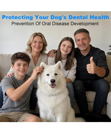 Kit de Nettoyage Tartre Dentaire Ultrasons pour Chien et Chat 5 Modes de Nettoyage et 4 T tes de Nettoyage Kits Dentaires Des Dents Contre Le Tartre pour Chien Chat - Buy Online on GoSupps.com