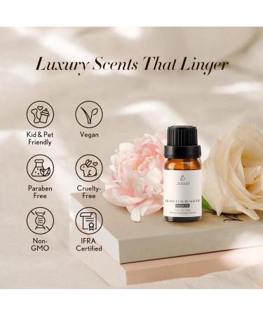 JCLOUD Dream On Essential Oil for Diffuser - Premium Aromatherapy Oil with Passion Fruit Peony & Orchid - Natural Pet Safe & Luxury Scents - 10mL - Buy Online on GoSupps.com