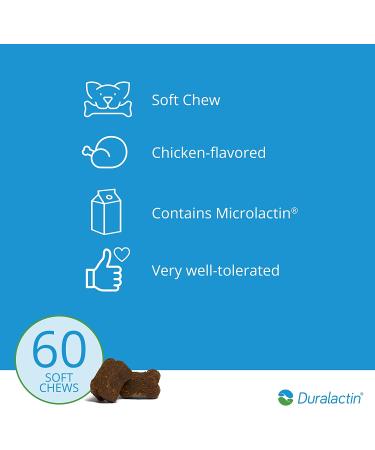 Duralactin Canine Soft Chews Joint Health Supplement for Dogs, Reduces Inflammation, Chicken-Liver Flavored, 60-Count Bottle - Buy Online on GoSupps.com