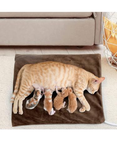 NAMOTEK Pet Heating Pad - Safe Electric Warming Pad for Dogs & Cats | Auto Constant Temperature | 15.7 x 12 - Buy Online on GoSupps.com