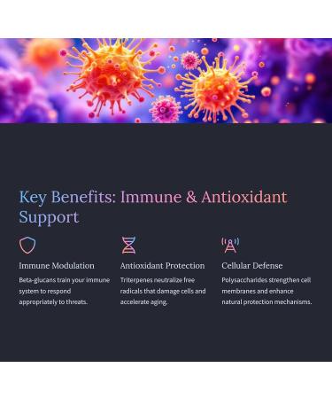 Dr. Greenic Mushroom All 12X 12 in 1 Premium Mushrooms 20:1 Extract Blend Supplement 90 Capsules | One Capsule 90 Serving | 15000MG Equivalent Raw Mushroom Complex | Ultra-Potent 12 Mushrooms Ext - Buy Online on GoSupps.com