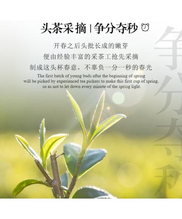 HQZM Premium Preming Spring Tea 250g 881oz Maojian Green Tea Tender Buds Tea Smooth And Rich - Buy Online on GoSupps.com