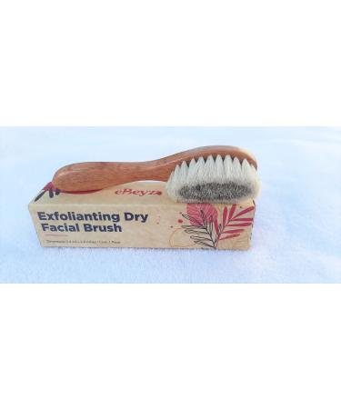 eBeyza Exfoliating Dry Facial Brush