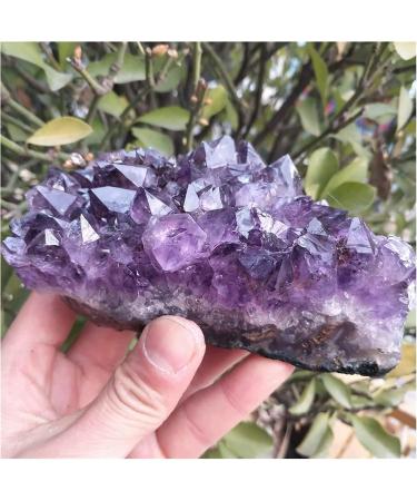 Amethyst Rough Stone 540-560g Natural Dream Amethyst Quartz Crystal Cluster Specimen - Buy Online on GoSupps.com
