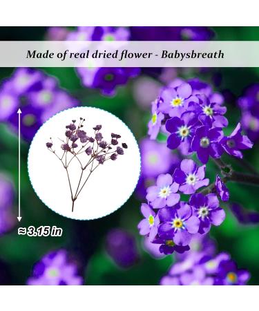 Pressed Dried Gypsophila Flowers 42PCS - Purple Babysbreath Flowers for DIY Crafts - Buy Online on GoSupps.com