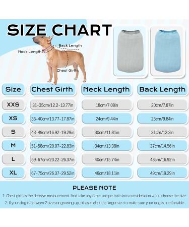 2-Pack Dog Clothing | Soft Cotton Sweaters & Shirts for Small Dogs & Cats | Air-Permeable Chihuahua T-Shirts - XL Gray & Blue - Buy Online on GoSupps.com
