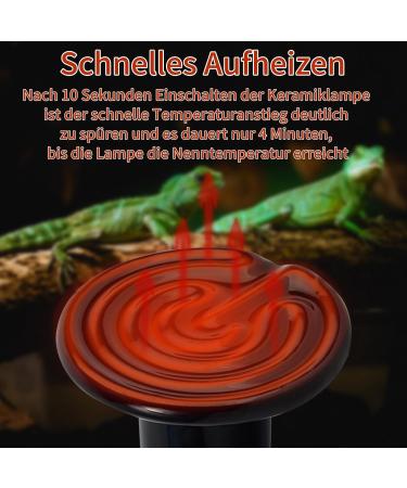 Repti Home 150W Ceramic Heat Radiator (2-Pack) - Best Reptile Heat Lamp Bulbs for Amphibians Pet Breeding Chickens Dogs & Cats - Buy Online on GoSupps.com