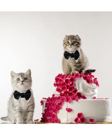 HACRAHO Formal Dog Bow Tie - White Adjustable Pet Bow Tie Collar for Weddings & Birthdays | Perfect for Small Dogs & Cats (Size SS) - Buy Online on GoSupps.com