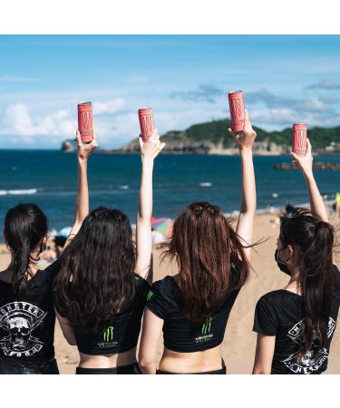  Monster Monster-KO Pipeline Punch 500ml x 24cm Latte - Buy Online on GoSupps.com