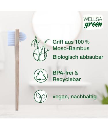 Wellsamed Savings Set: Denture Toothbrush & Blend-a-Dent Hygienic Toothpaste - Eco-Friendly Bamboo Brush for Third Teeth - Buy Online on GoSupps.com