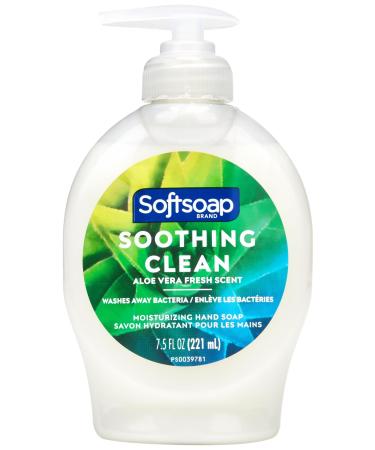 Soft Soap 26012 Softsoap Moisturizing with Aloe Hand Soap - Pack of 1