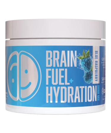 Lithios Brain Fuel Plus Hydration Mix - 30 Servings / 3.9 oz | Blue Raspberry Drink Mix | Boost Focus & Performance | Contains Electrolytes Vitamins & Magnesium | Dietary Supplement