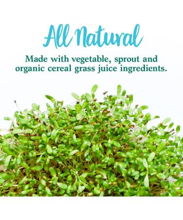 Garden of Life Perfect Food Super Green Formula - 150 Vegetarian Caplets for Ultimate Nutrition - Buy Online on GoSupps.com