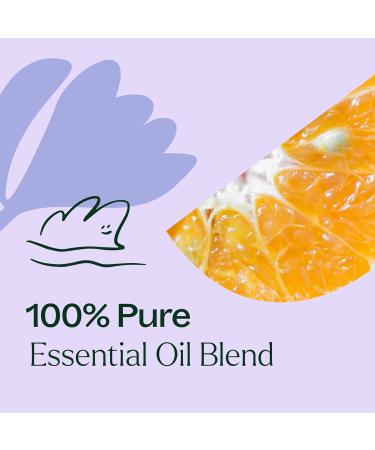 Plant Therapy Relax Essential Oil Blend 100% Pure Undiluted Natural Aromatherapy Therapeutic Grade 10 mL (1/3 oz) Relax 0.33 Fl Oz (Pack of 1) - Buy Online on GoSupps.com