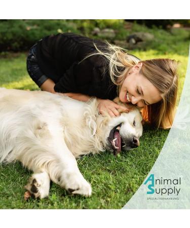 Animal Supply Ohr Milben Oil for Pets - 50ml | Effective Ear Mite Treatment for Dogs Cats & Pets with Chamomile - Soothing Relief for Itchy Ears - Buy Online on GoSupps.com
