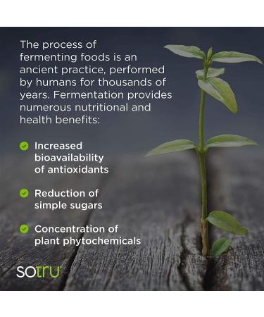 SoTru Vegan Protein Shake Chocolate - 20.7 oz. | USDA Organic Plant-Based Powder with Superfoods & Probiotics - Buy Online on GoSupps.com