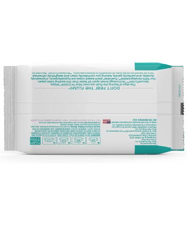 Nice 'N Clean SecureFLUSH Adult Flushable Wipes with Aloe & Vitamin E | 42 Count x 6 Packs - Buy Online on GoSupps.com