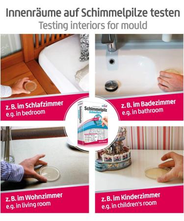 Mold Test Kit for Up to 12 Rooms Rapid Indoor Mold Contamination Testing - Buy Online on GoSupps.com