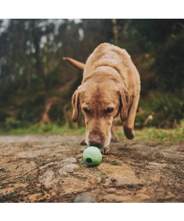 Buy BecoThings Dog Toy Ball - Medium Pink | Eco-Friendly & Durable Pet Plaything - Buy Online on GoSupps.com