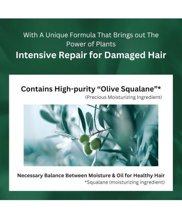 Buy Botanist Japanese Organic Hair Oil - Smooth Nourishing Botanical Serum for Tangled Hair - Pear & Jasmine 80 mL | International Shipping - Buy Online on GoSupps.com