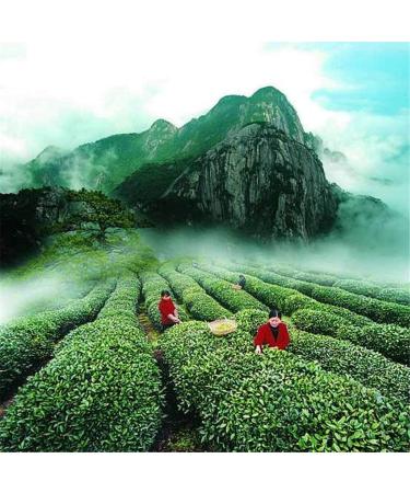 318g Th Noir Th de Poria au Parfum L ger Original De Chine Bon Th Naturel Th Noir Organique Sans Additif Nourriture Verte - Buy Online on GoSupps.com