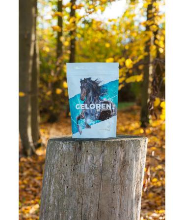 Natural Horse Joint Additives with Hyaluronic Acid - Apple Flavor Joint Cubes 450g | Optimize Joint Health for Horses - Buy Online on GoSupps.com