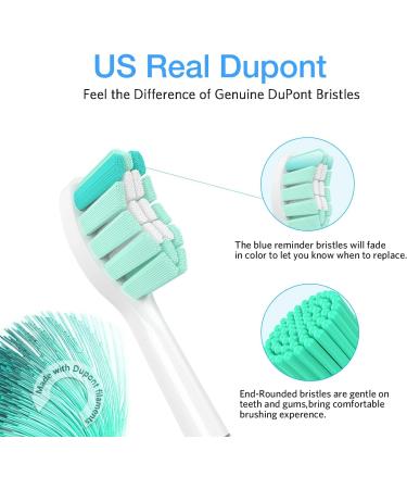 Senyum Replacement Toothbrush Heads for Philips Sonicare - 8 Pack White | Compatible with Sonic Care Snap-On | Electric Toothbrush Heads Refill - Buy Online on GoSupps.com