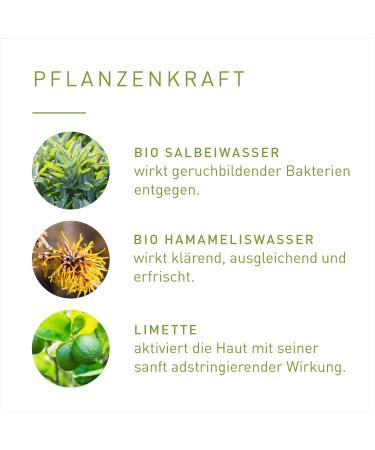  Primavera PRIMAVERA Lebensfreude Freshness 50ml - Roll-On Deodorant Natural Cosmetics - Lime Ginger Scent - 24 Hour Protection No Aluminium Salts - Vegan - Buy Online on GoSupps.com