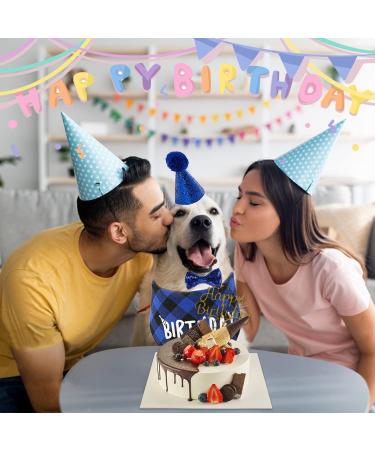 Dog Birthday Hat & Bandana Set - 3pcs Blue Dog Party Accessories for Boys & Girls - Perfect for Puppies & Cats - Buy Online on GoSupps.com