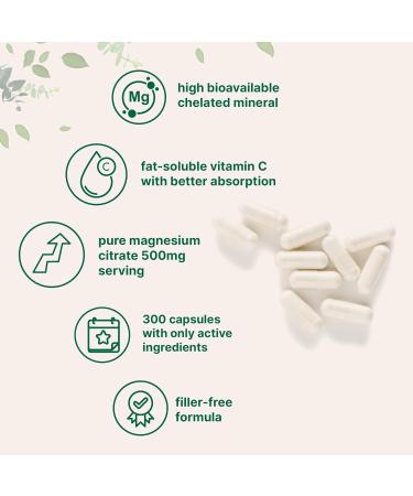 Pure Magnesium Citrate Supplements 500mg 300 Capsules | Fat-Soluble Vitamin C Added | 100% Chelated | Only Active Ingredients - Buy Online on GoSupps.com