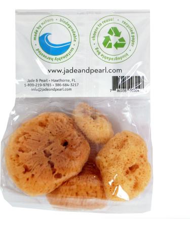 Whoa Fancy! Ultra Glamorous Reusable Cosmetic Sea Sponges - Perfect for Flawless Makeup Application | Shop Internationally - Buy Online on GoSupps.com