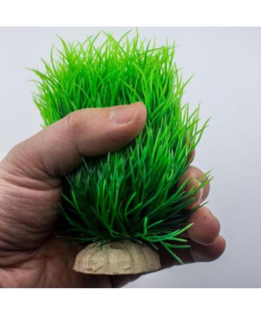 TAOMYPETS Plastic Aquarium Plants - Coral Reef Ornaments for Fish Tanks | Green Aquarium Decor for Vibrant Aquatic Life - Buy Online on GoSupps.com