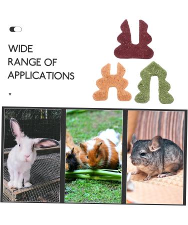 POPETPOP Rabbit Snacks Guinea Pig Treats Rabbit Treat Hamster Chew Bunny Stuff Bunny Supplies Fiber - Buy Online on GoSupps.com