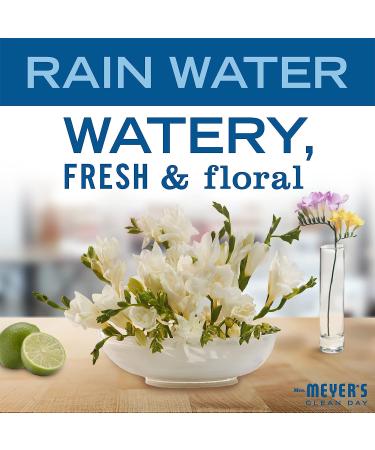 Mrs. Meyer's Rain Water Bar Soap 5.3 oz - Set of 4 Bars with Essential Oils | Body Wash & Hand Soap - Buy Online on GoSupps.com